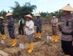 Dukung Ketahanan Pangan, Lantamal XI Tanam Sorgum